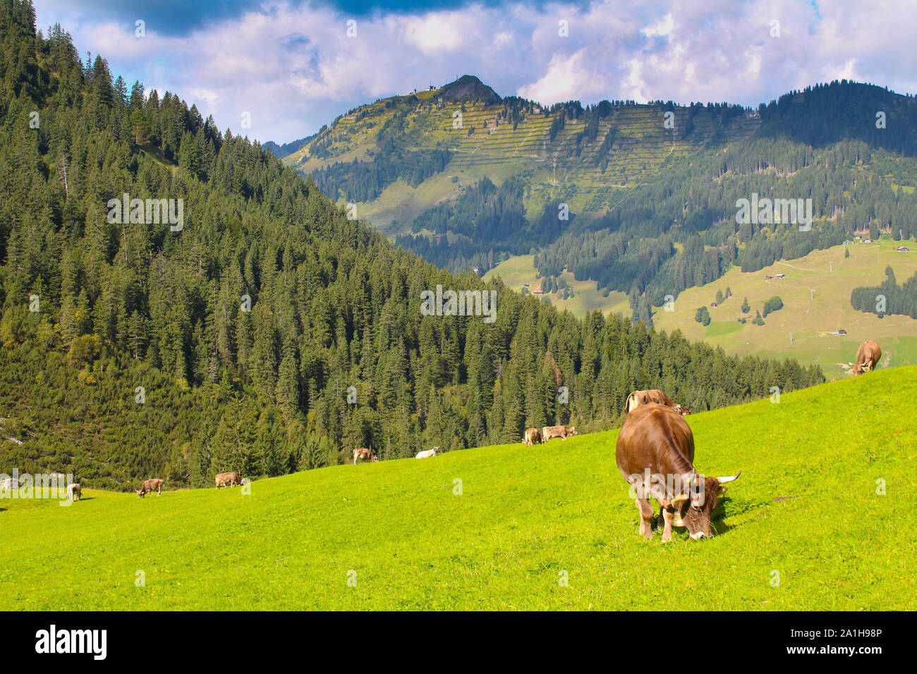 The alps in the Kleinwalsertal area in Austria Stock Photo