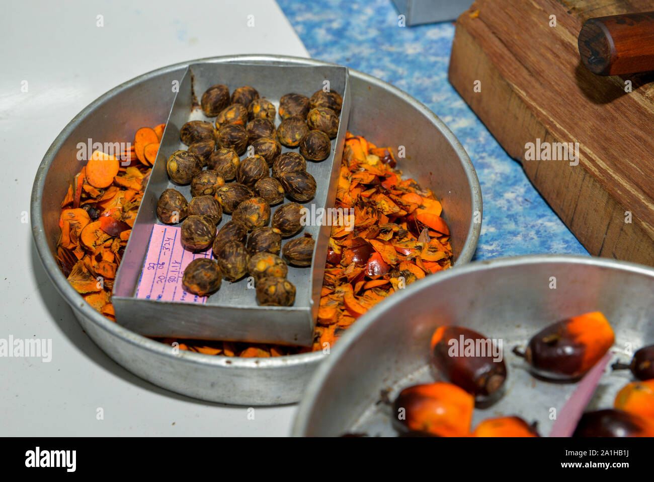 the process and the tools of bunch analysis lab for oil palm industry. Stock Photo