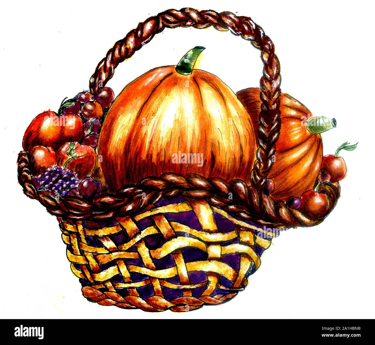 Hand drawn illustration of a wicker woven basket with vegetables and