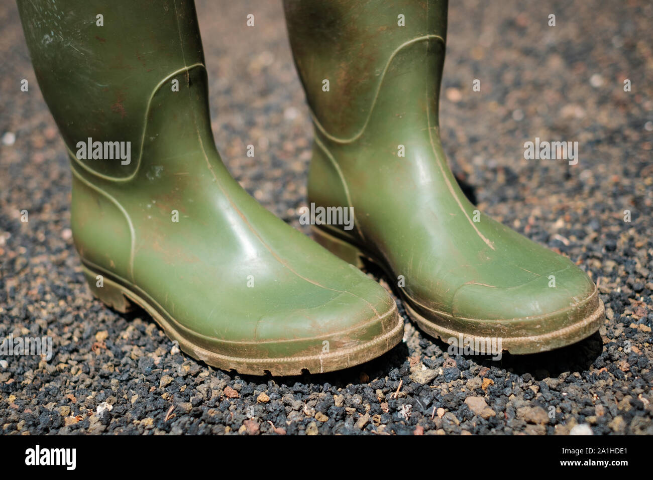 Green rubber boots hi-res stock photography and images - Alamy