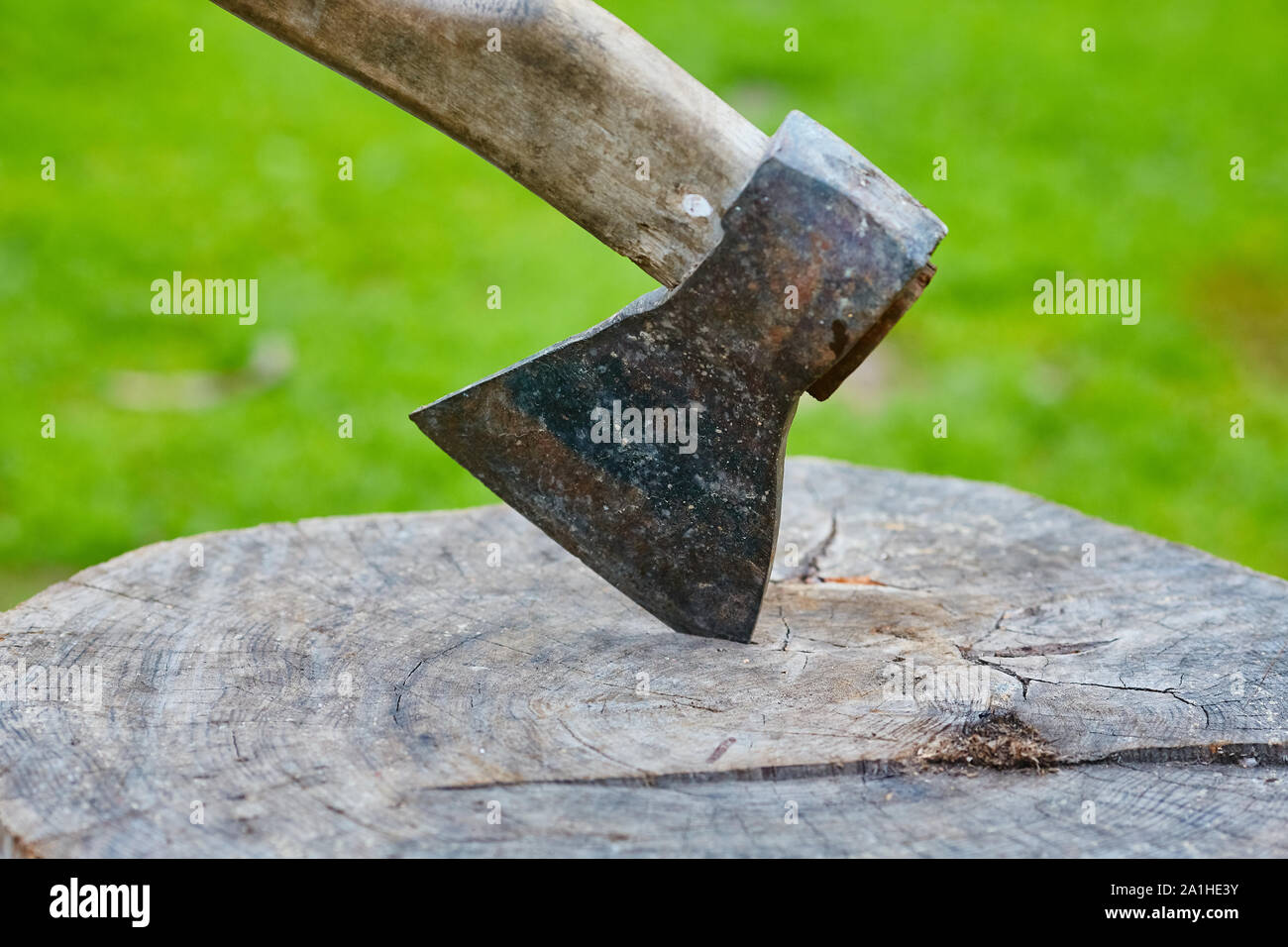 Axe in a log, closeup Stock Photo