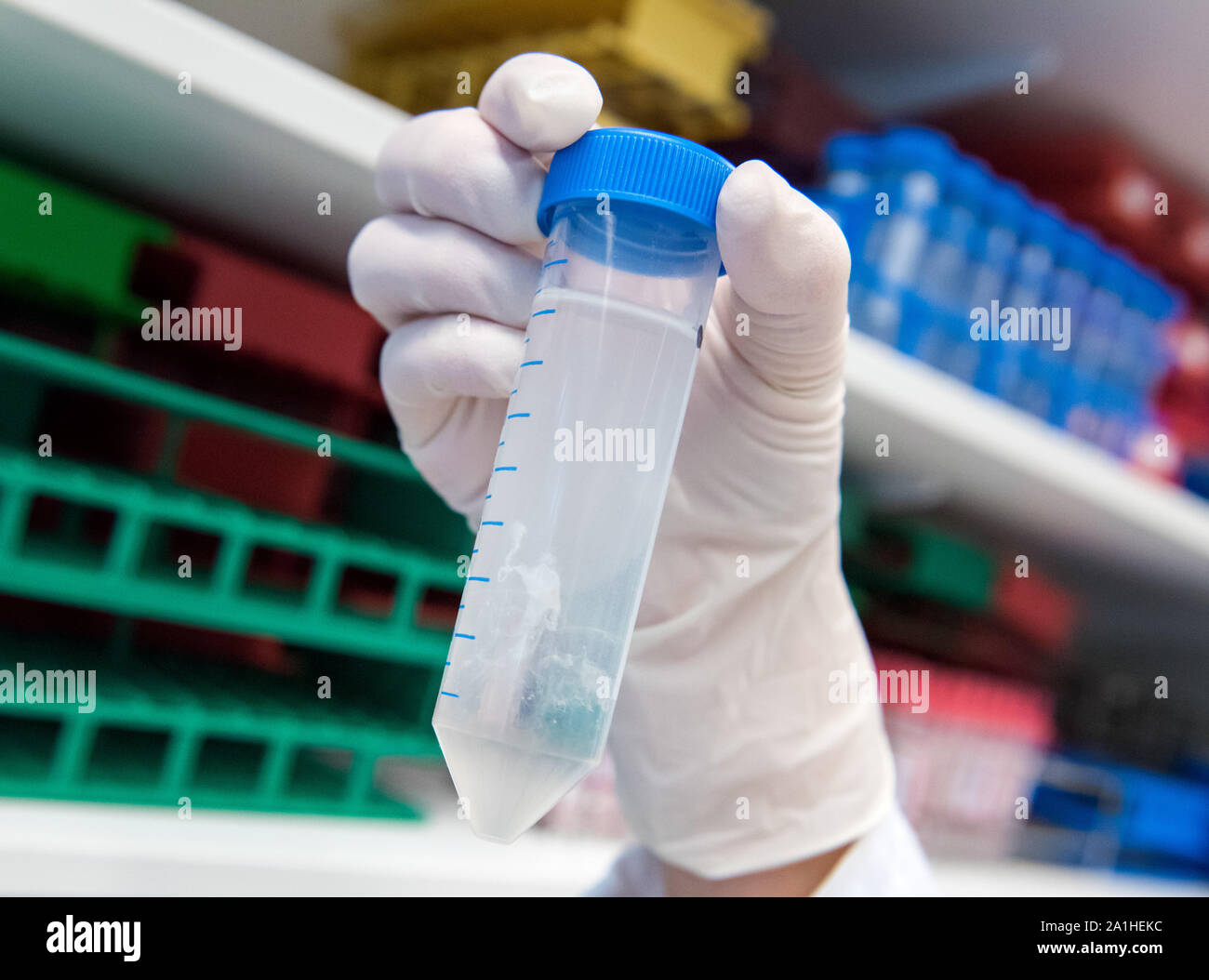 Hamburg, Germany. 25th Sep, 2019. DNA processed reacts with alcohol in a research laboratory at the University Hospital Hamburg Eppendorf (UKE). Scientists at the UKE want to find out more about the causes of cardiovascular diseases through a detailed analysis of the genetic material. Credit: Daniel Bockwoldt/dpa/Alamy Live News Stock Photo