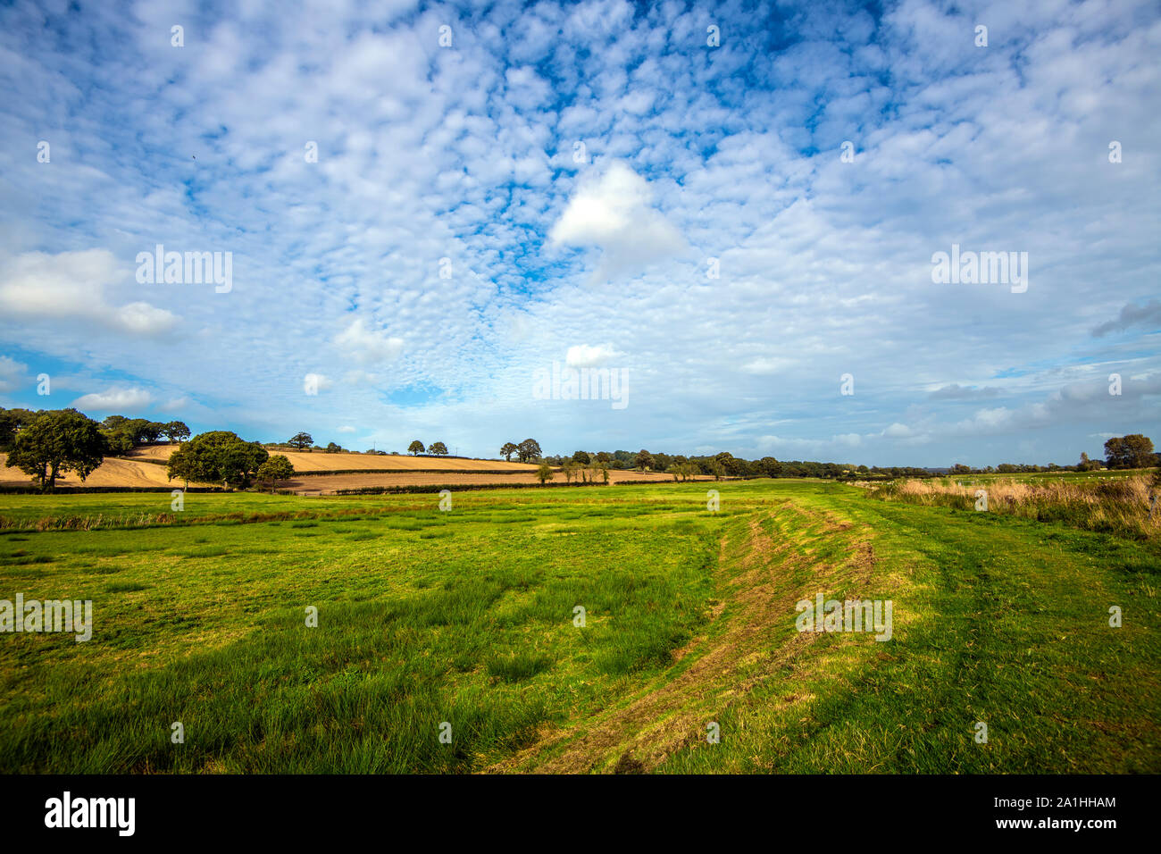 Raised bank flood management on the River Brede in East Sussex  and Kent Stock Photo