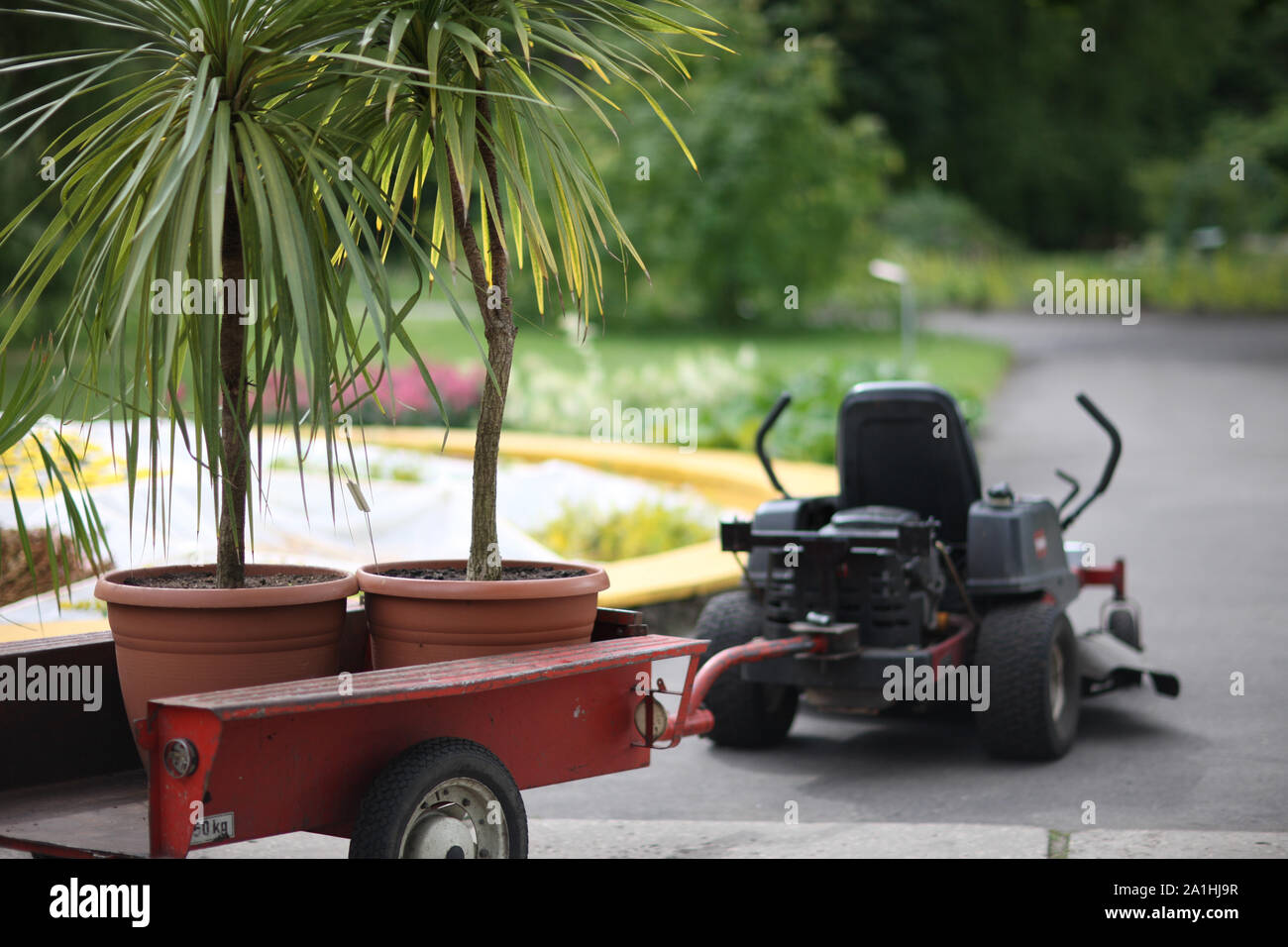 Electric car with a trailer with decorative palms in large pots Stock Photo
