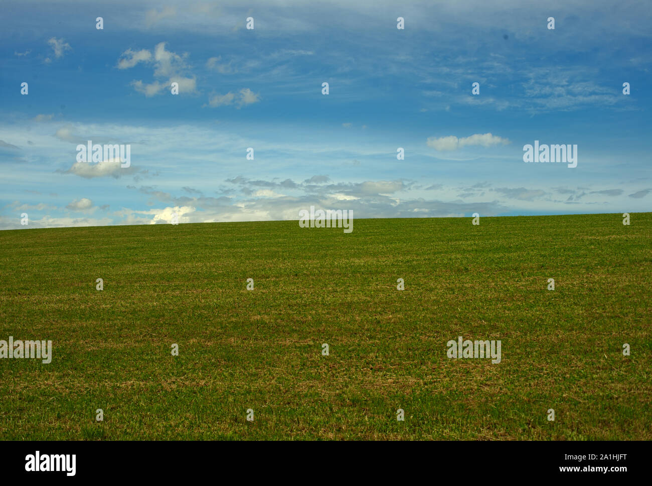 Green grass field and blue cloudy sky Stock Photo - Alamy