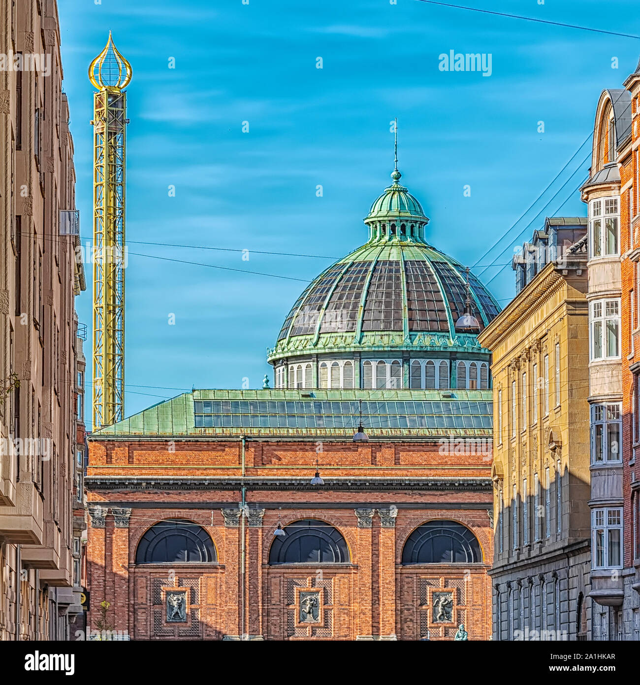 My Image 26