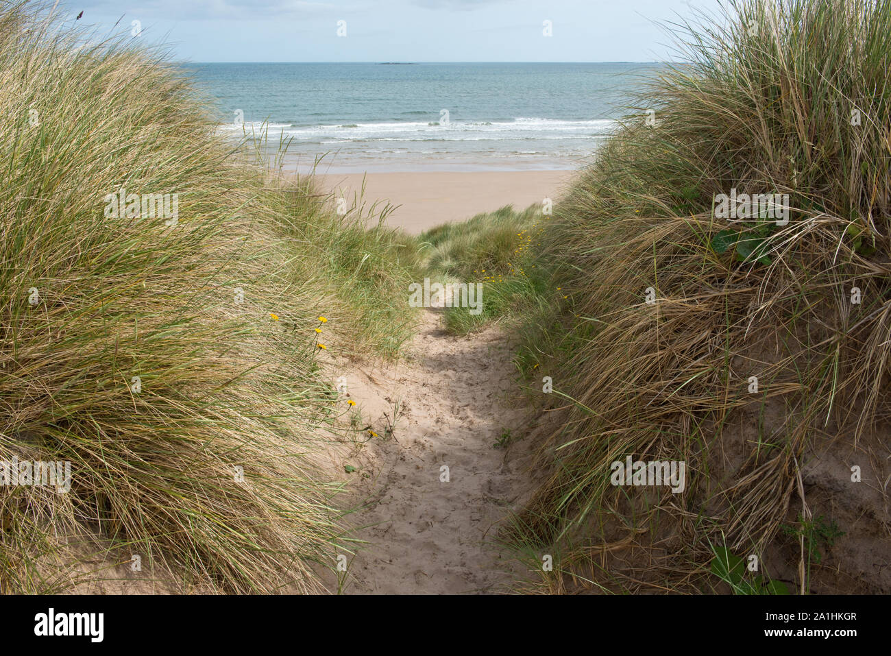 Path through dunes to Bamburgh Beach Stock Photo