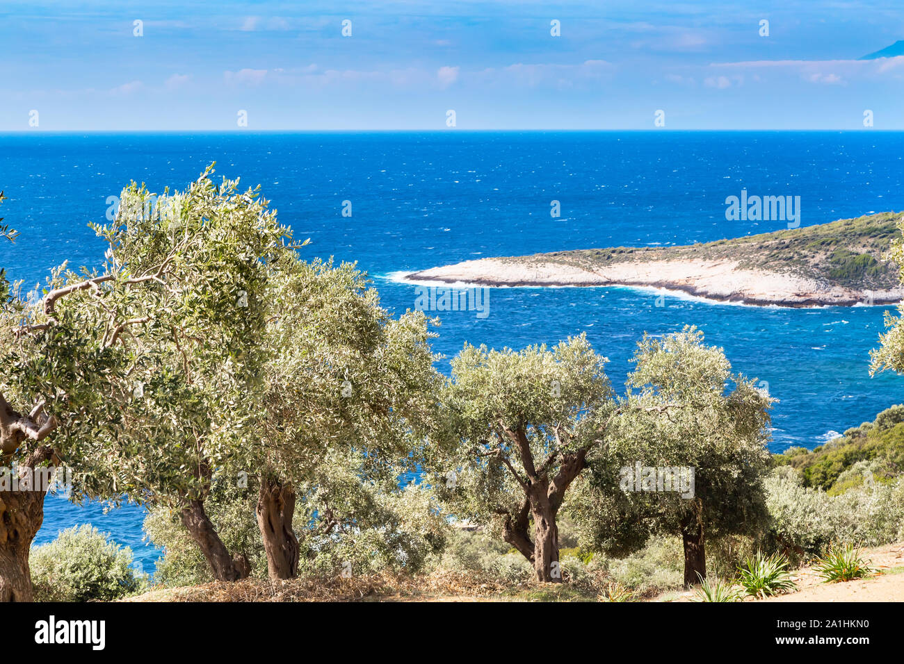 Summer Vacation Background With Greek Island Thasos Olive Trees And summer-vacation-background-with-greek-island-thasos-olive-trees-and
