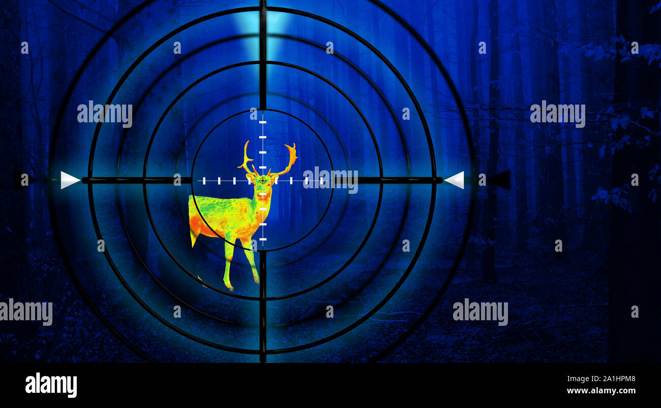 Hunting a deer in a forest at night using thermal imaging. Scope view with crosshair. Stock Photo