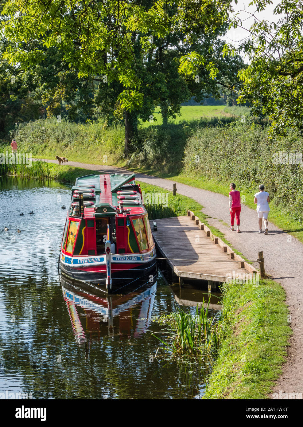 Tiverton Canal Company Barge, Tivertonian, moored on the Grand Western Canal at East Manley, with two females walking by on the towpath, Devon, UK. Stock Photo