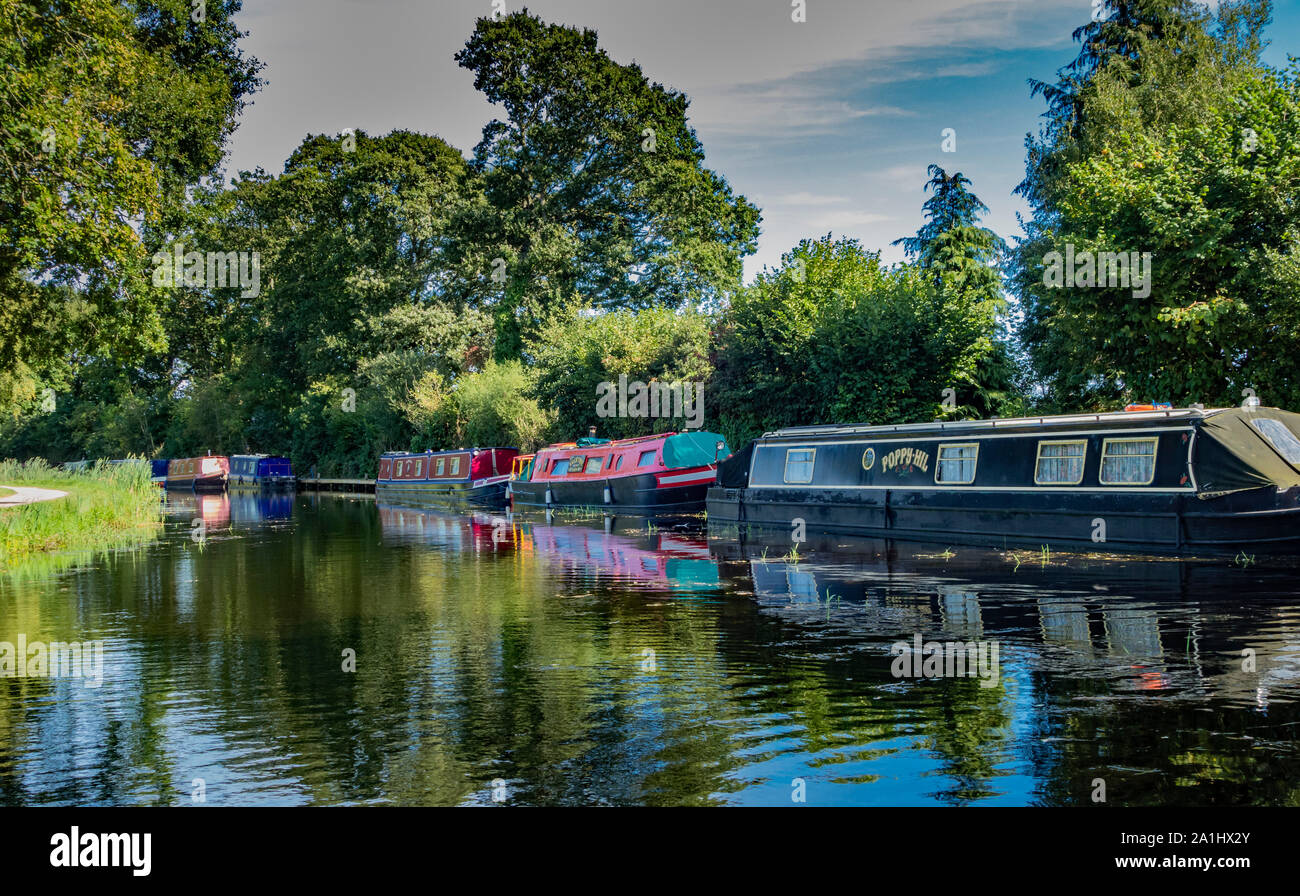 Barges moored on the Grand Western Canal, Devon, England, UK. Stock Photo