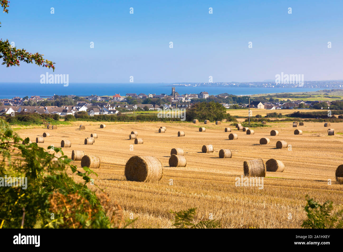 Baled Hay in a field looking towards Castlerock Northern Ireland Stock Photo