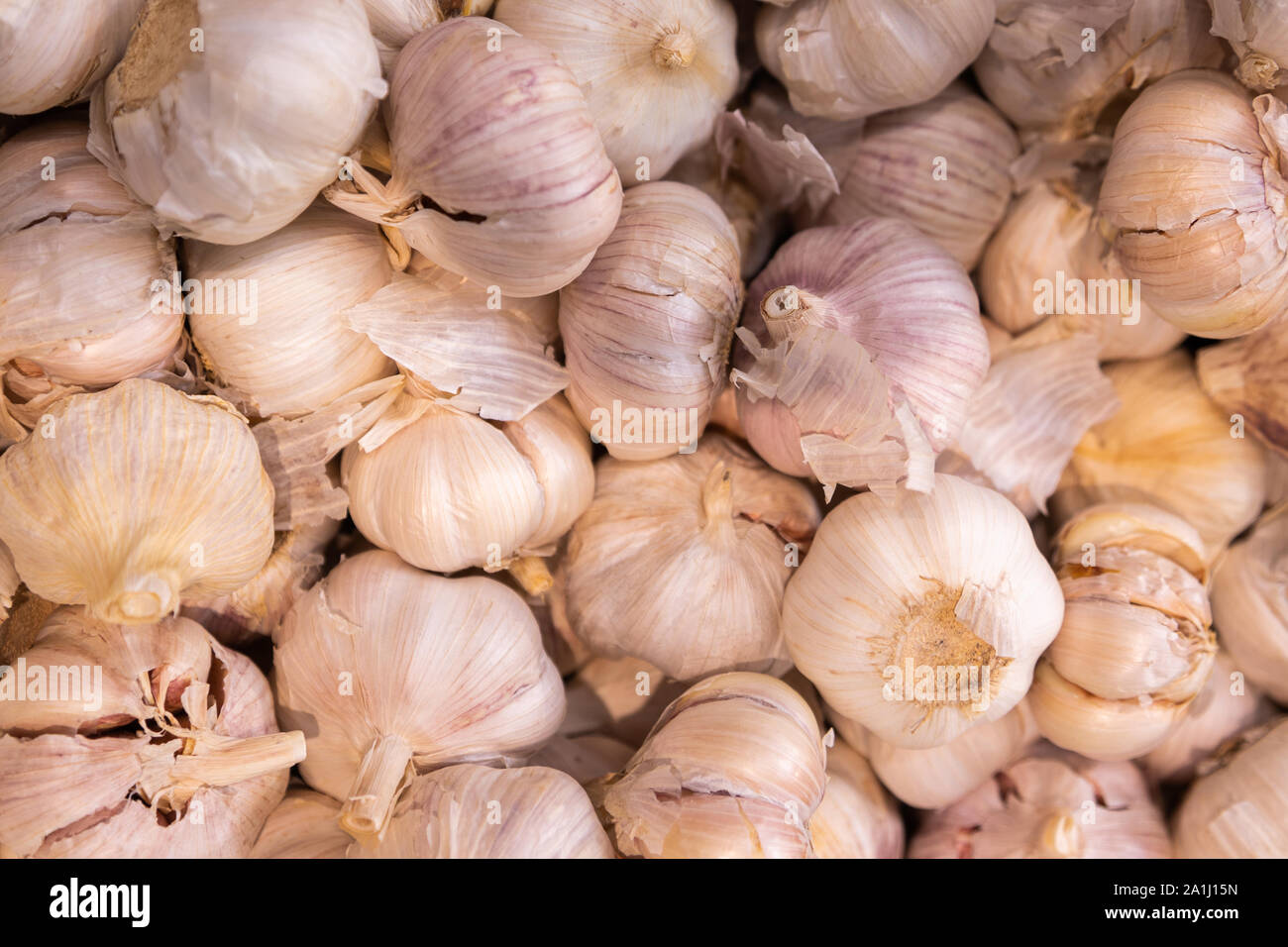 Spicy begetable for meat or other meal. Garlic in shell Stock Photo - Alamy