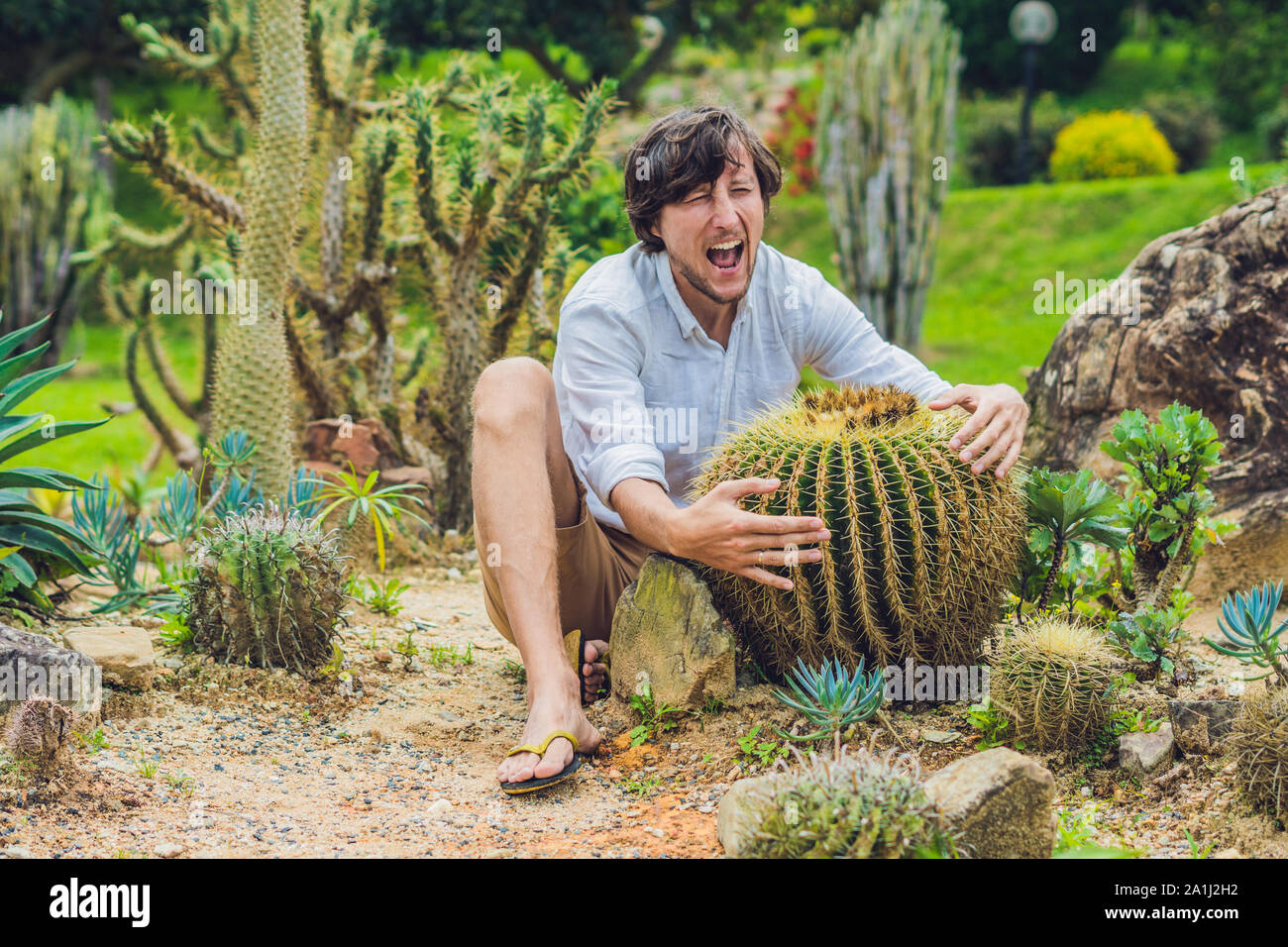 A man is sitting among large cacti. Pain concept Stock Photo Alamy