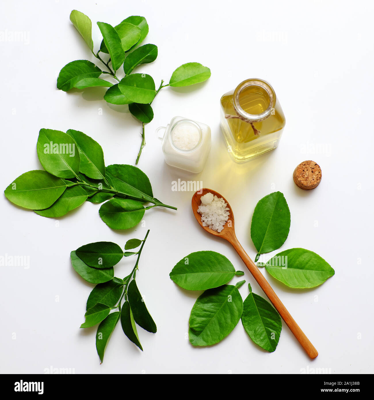 Homemade natural herbal oral care product from lemon leaves, salt boil with water make mouthwash for dental hygiene, treatment bacteria in oral cavity Stock Photo