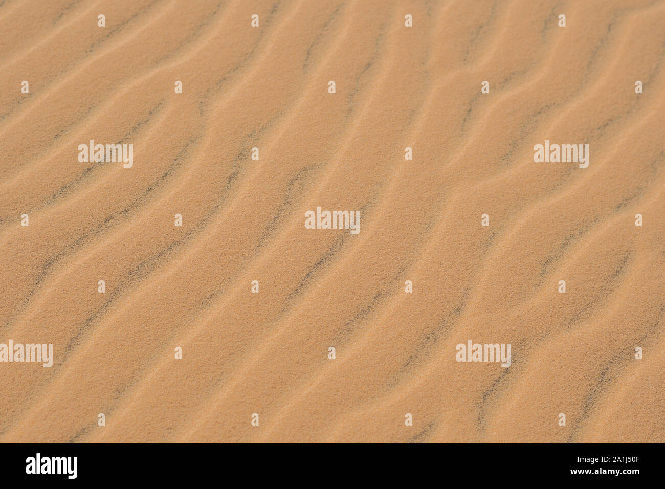 Yellow sand in the desert, Mui Ne, Vietnam Stock Photo