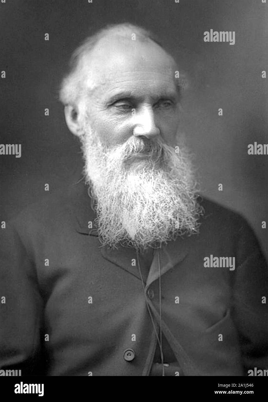 WILLIAM THOMSON, 1st Baron Kelvin (1824-1907) Irish-Scottish mathematical physicist Stock Photo