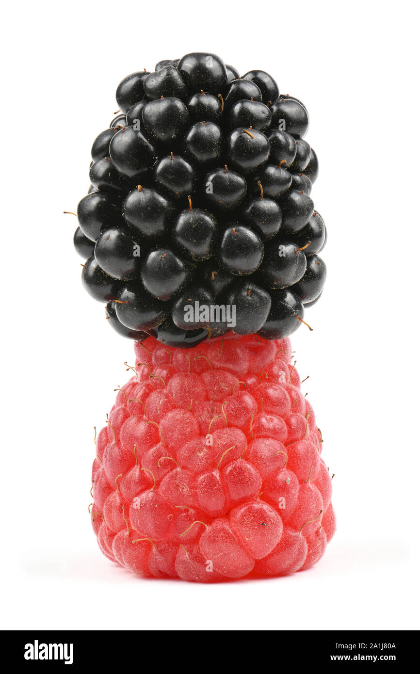 Ripe blackberry and raspberry lie one on one isolated white background ...