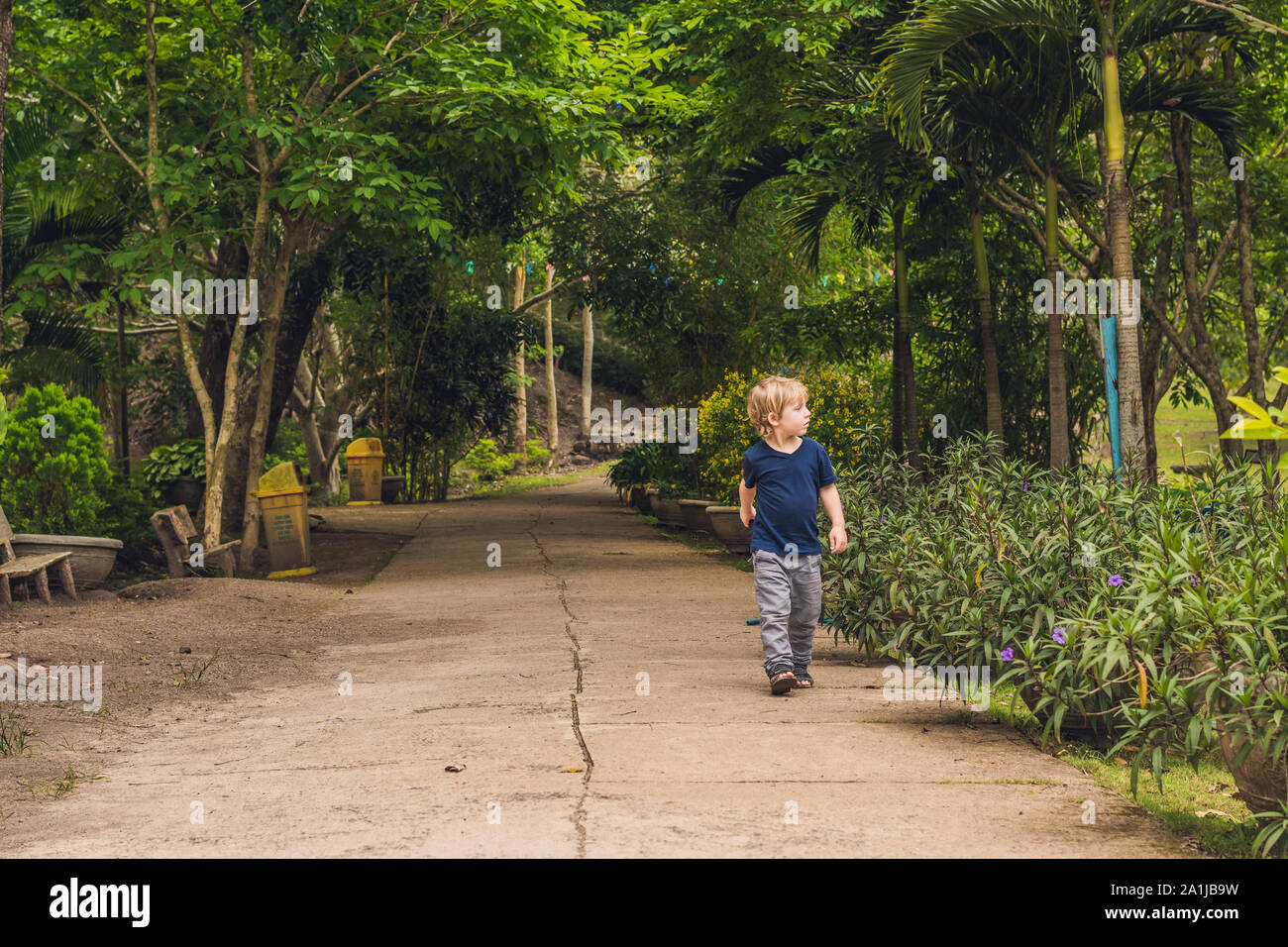 A boy walks in a tropical park Stock Photo - Alamy