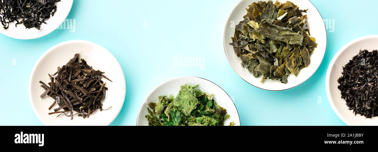 A panorama of dry seaweed, sea vegetables, a flat lay shot on a teal blue background with a place for text Stock Photo