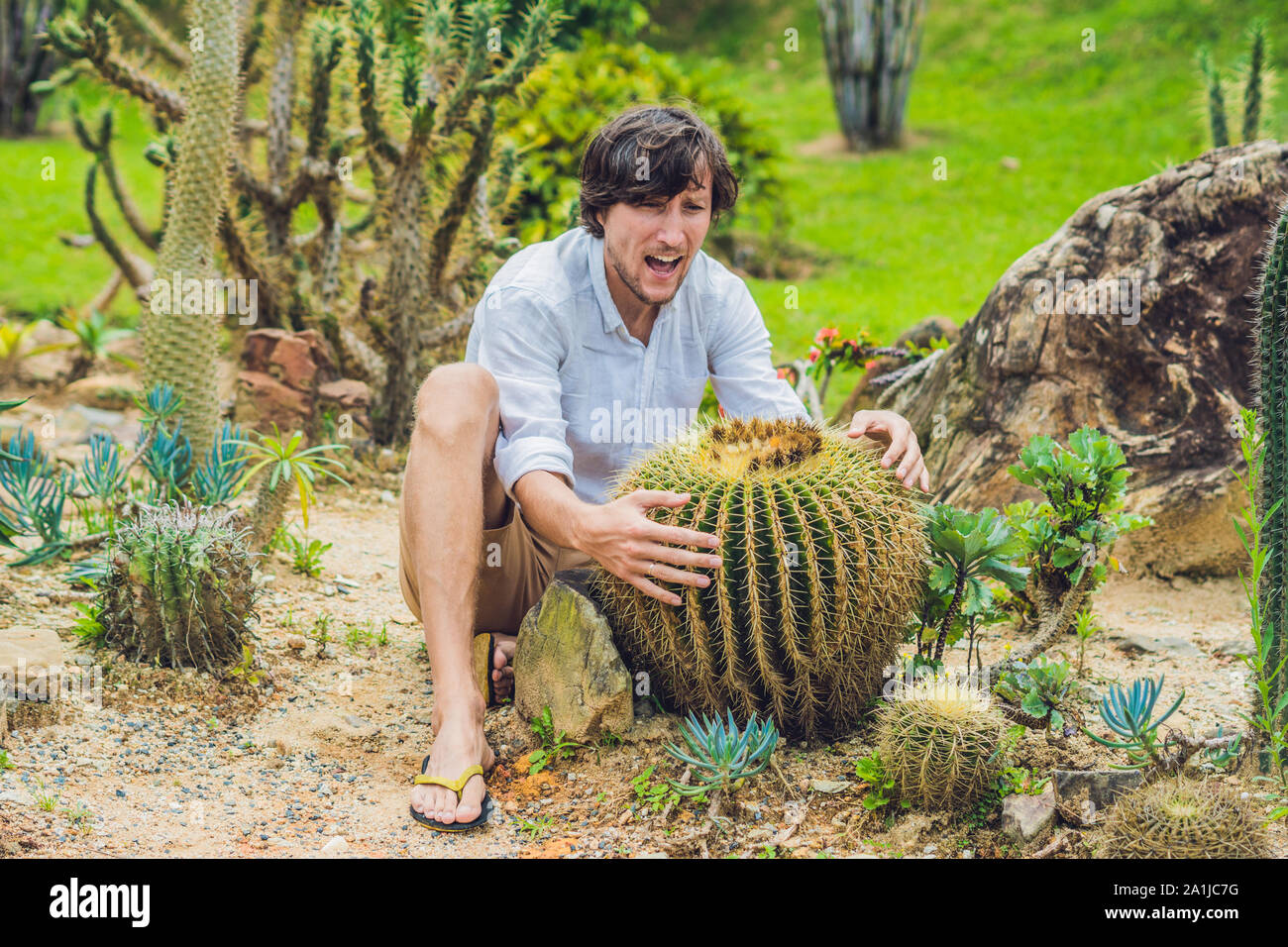 A man is sitting among large cacti. Pain concept Stock Photo Alamy