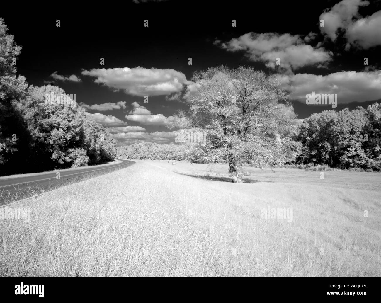 Natches trace hi-res stock photography and images - Alamy