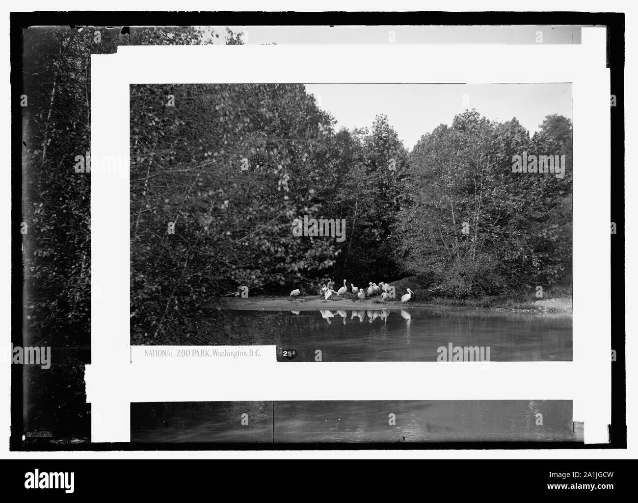 National Zoo Park, Washington, D.C Stock Photo Alamy