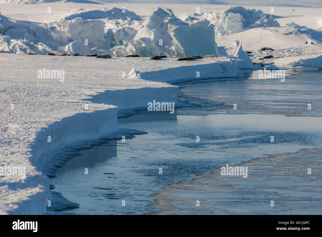 Ross ice shelf hires stock photography and images Alamy