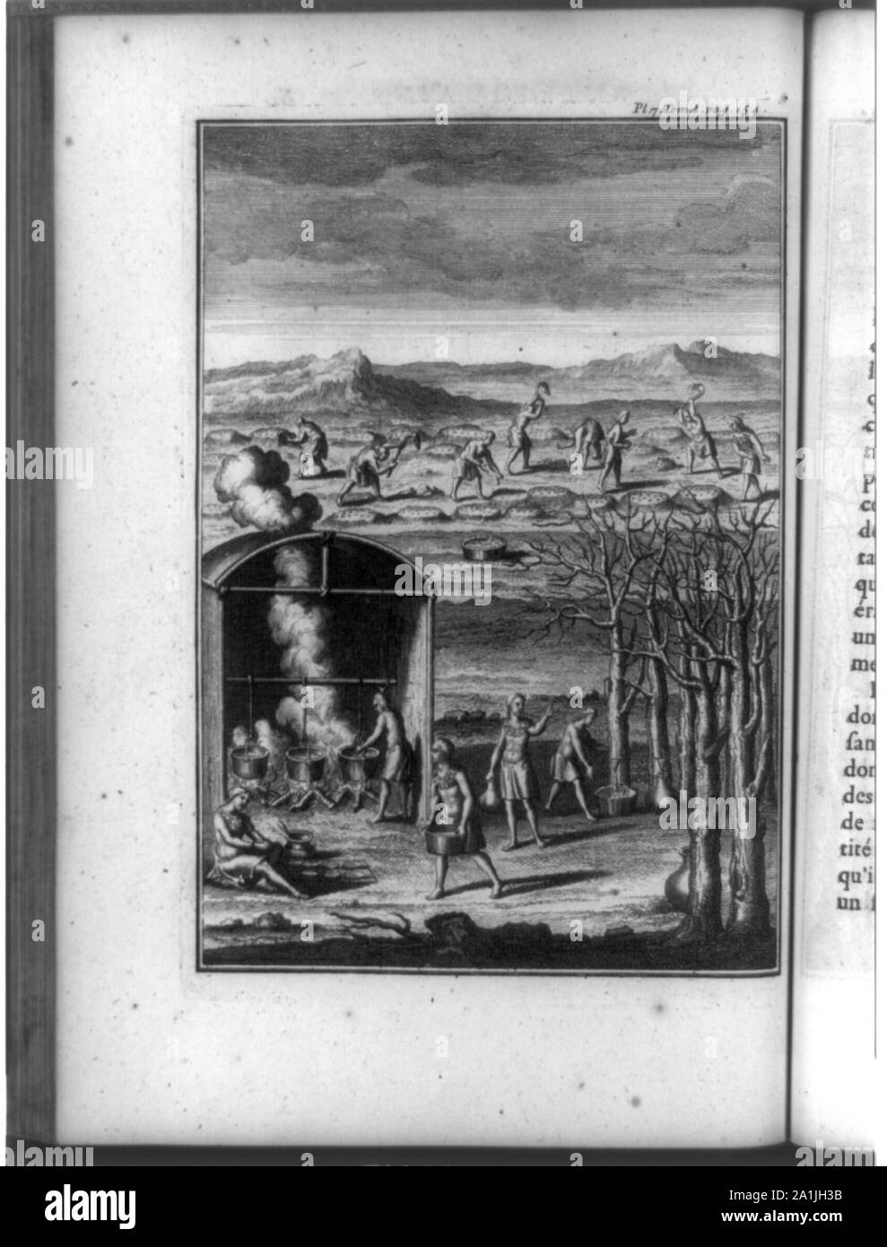 Native Americans collecting sap and cooking maple syrup in pots, tilling soil into raised humps, and sowing seeds, North America Stock Photo