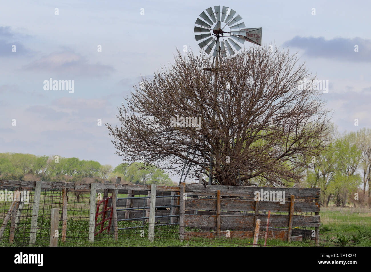 Old Windmill in wood pen Stock Photo