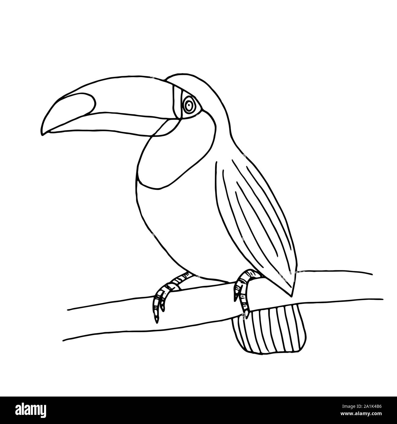 Toucan isolated on white background for coloring book page vector Stock Vector