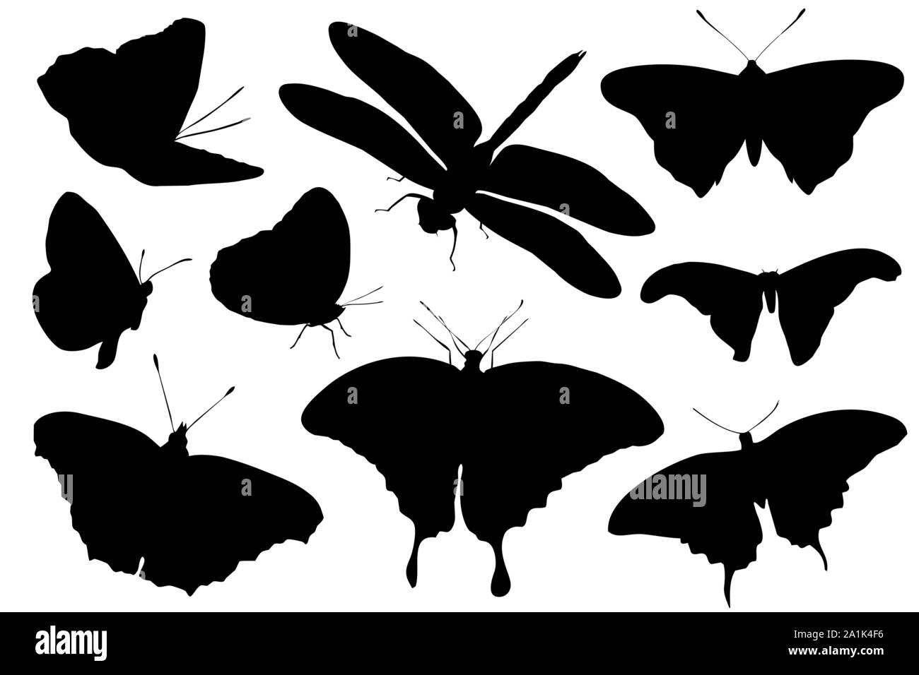 Silhouettes of insects isolated on white background. Vector ...