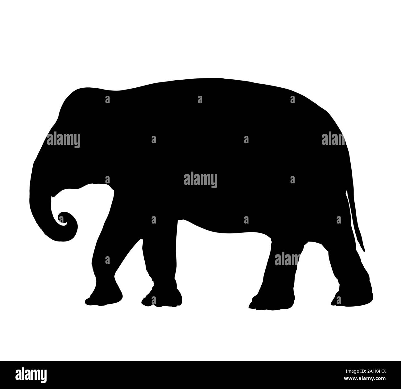 Silhouette of elephant Stock Vector Images Alamy