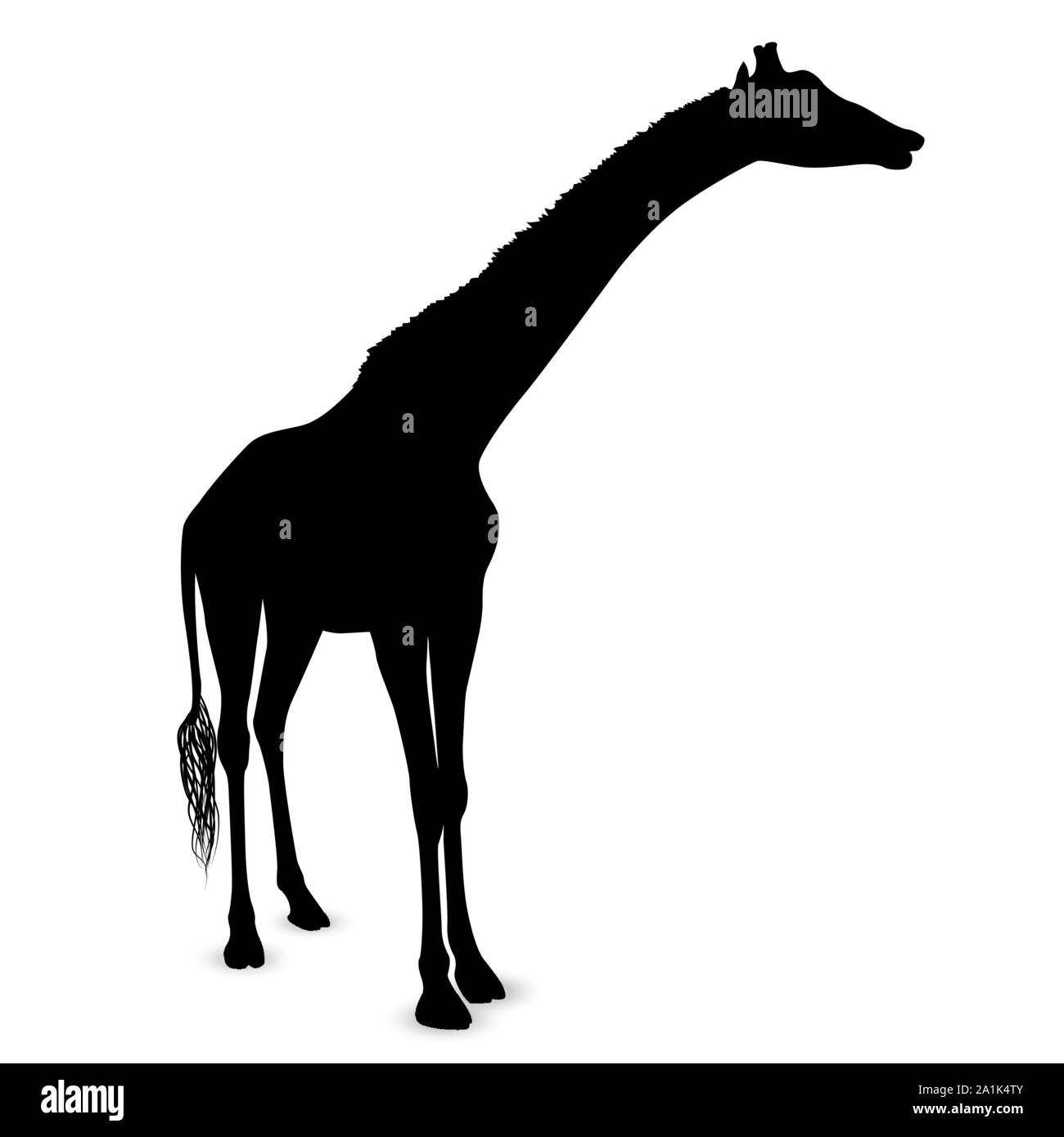 Giraffe silhouette isolated on white background vector Stock Vector ...