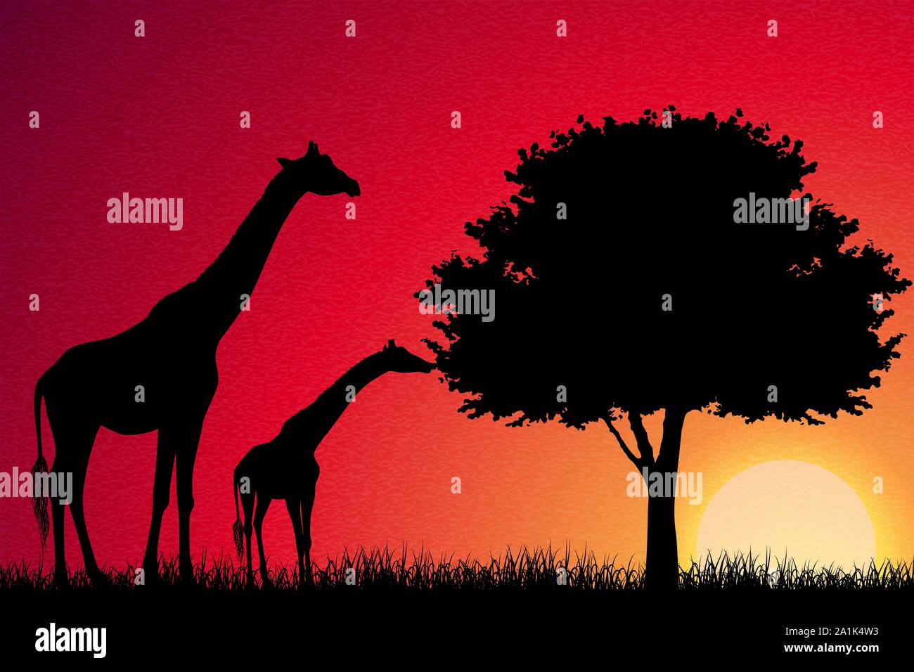 Giraffes in Africa vector background Stock Vector
