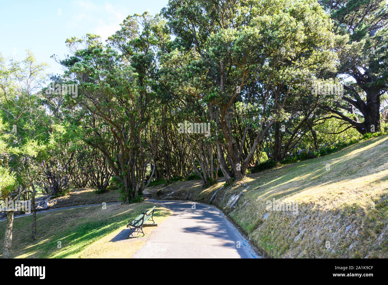 Path descending through Wellington Botanic Garden, Wellington, New Zealand. Stock Photo