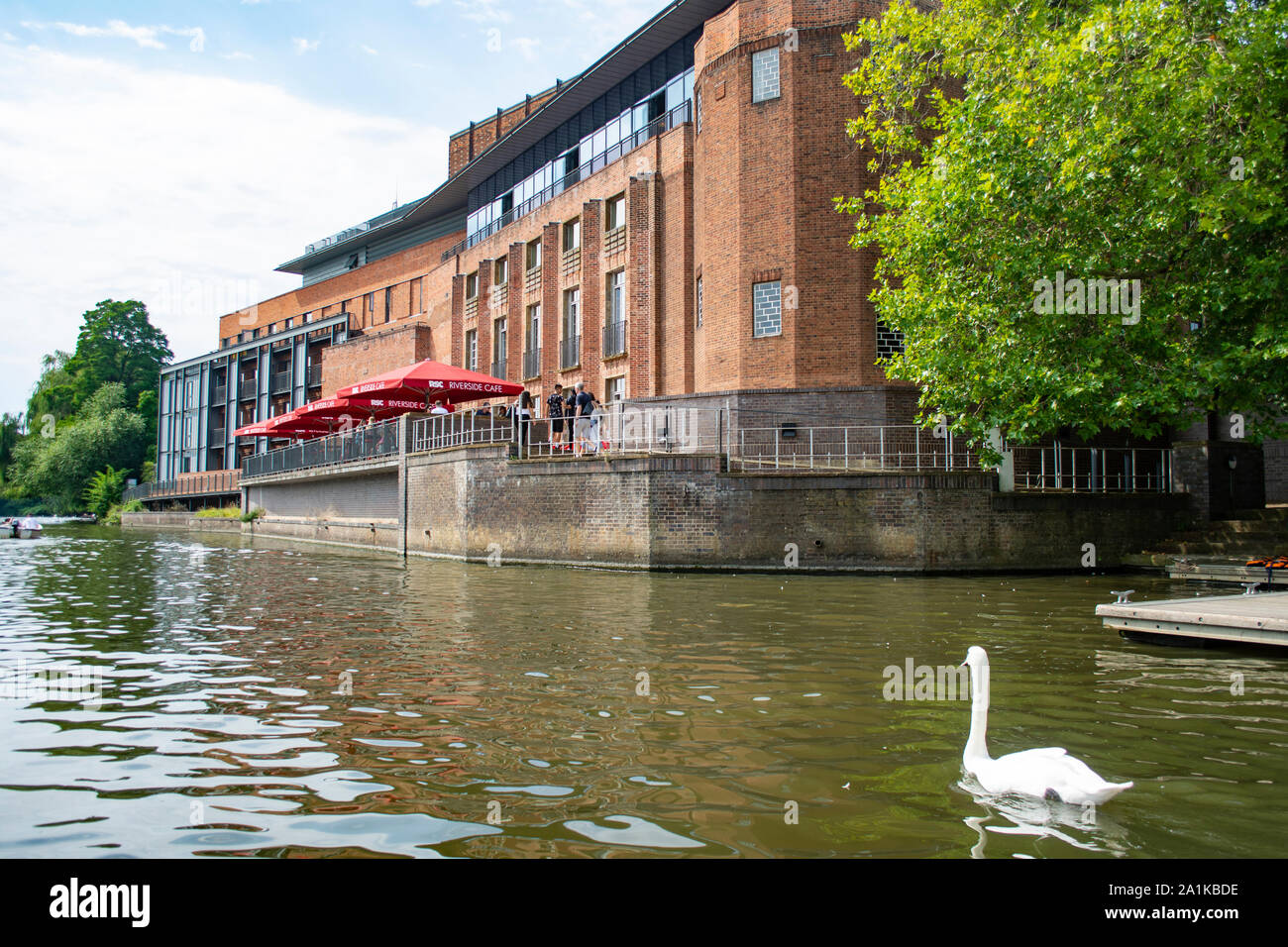 Swan on the River Avon by the Royal Shakespear Company Theatre in Stratford-Upon-Avon UK Stock Photo