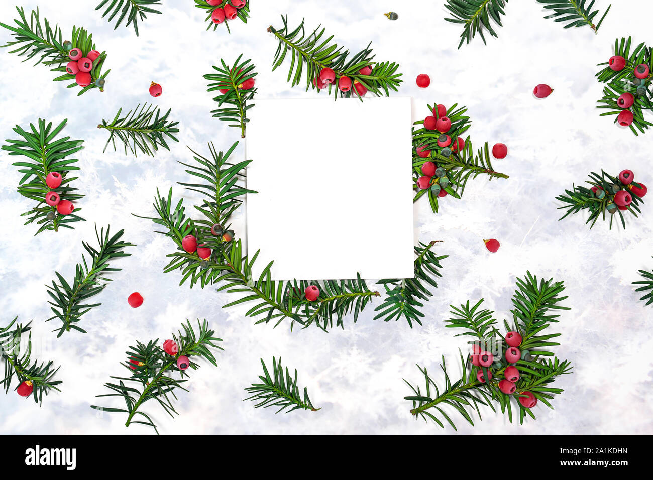 Fir branches with berries and snowflakes. Stock Photo