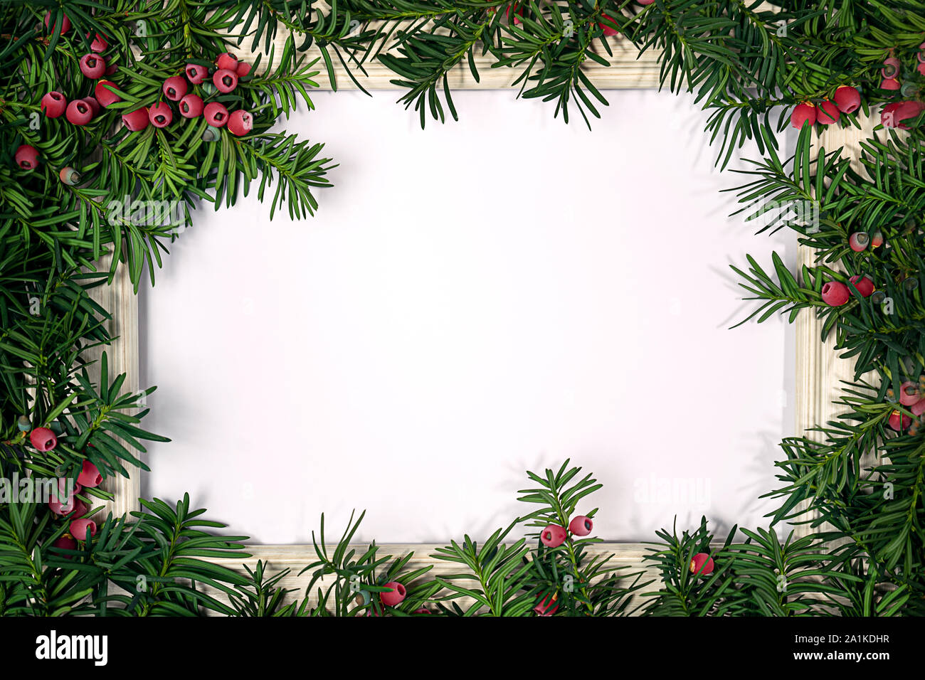 Christmas tree branches and frame for note. Stock Photo