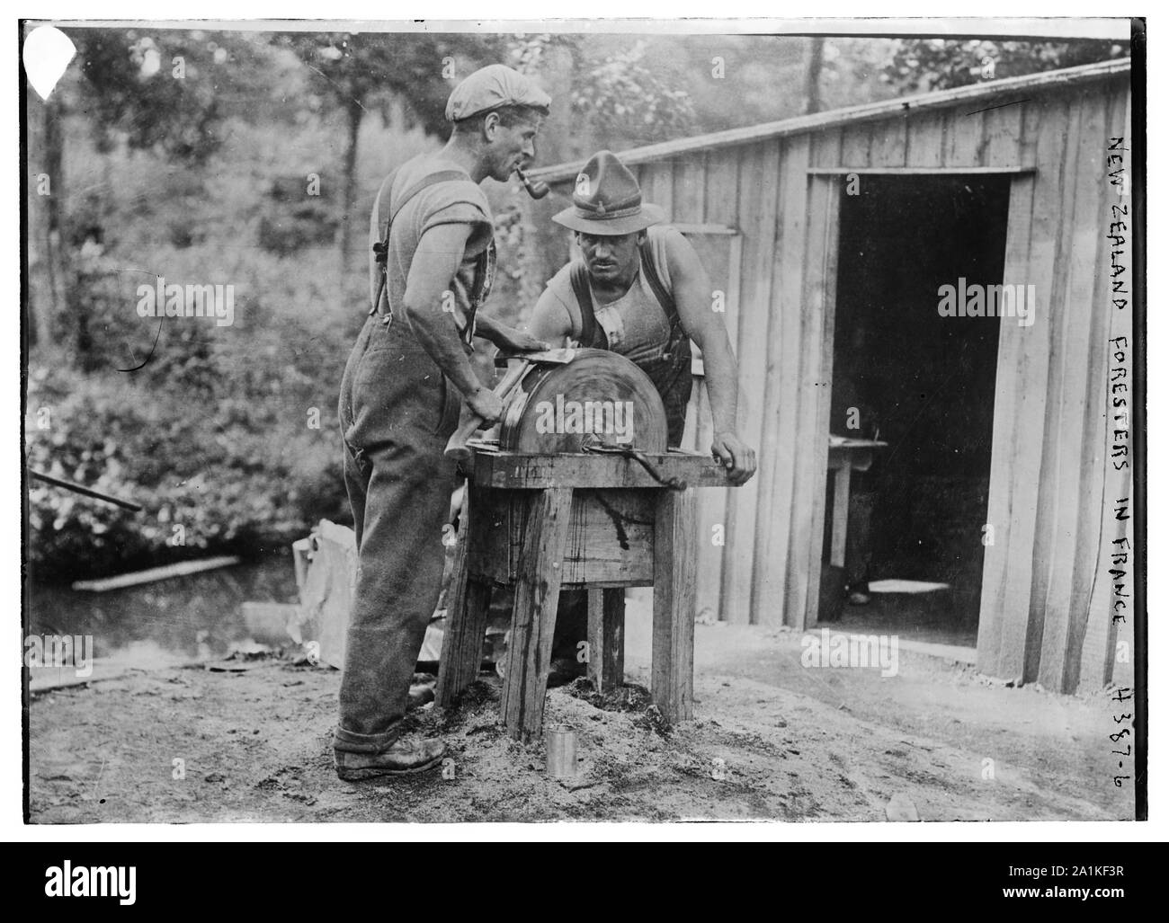 New Zealand foresters in France Stock Photo