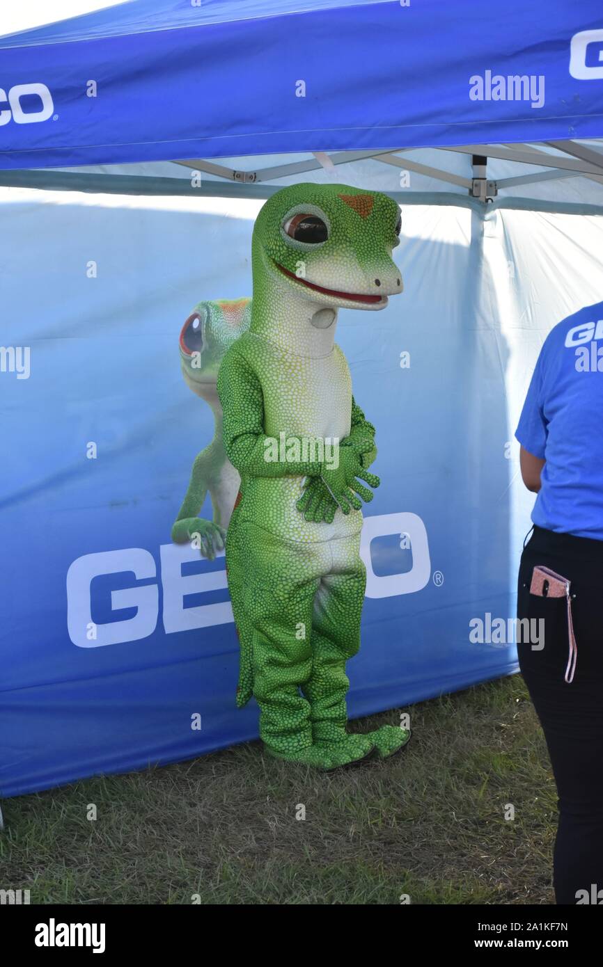 This photograph was taken at the 2019 Color Run 5K road race. These ...