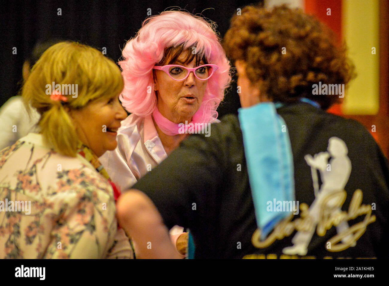 pink elvis wig