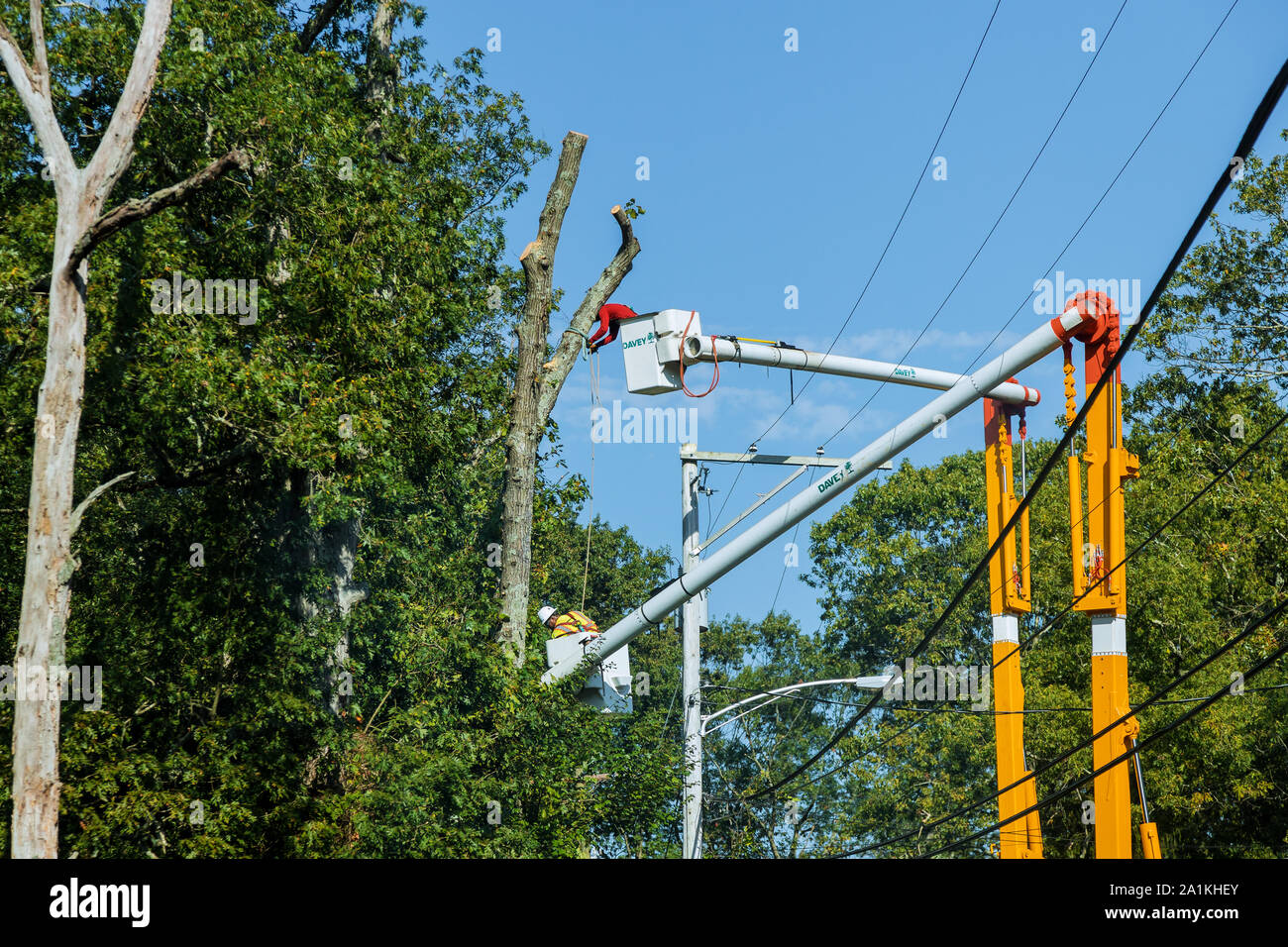 09.27.2019 Lakewood NJ USA. Tree pruning and sawing by a man with a chainsaw, standing on a platform of a mechanical chair lift, on high between the b Stock Photo