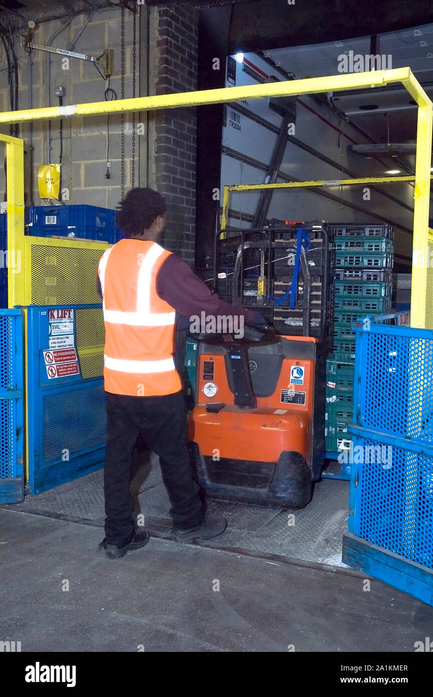 A warehouse worker moving plastic delivery crates using an electric hand truck. Stock Photo