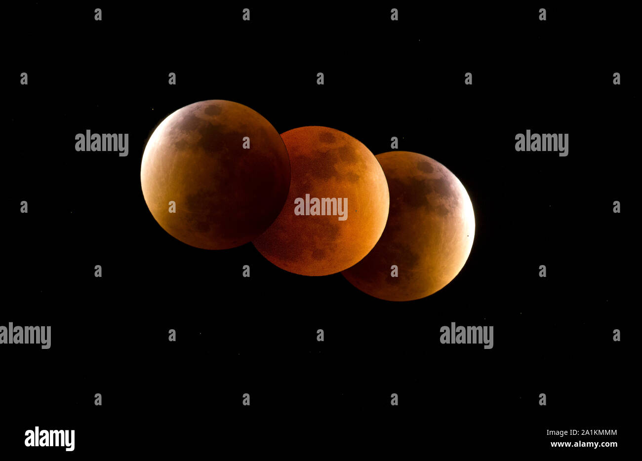 The Four Blood Moons Printable