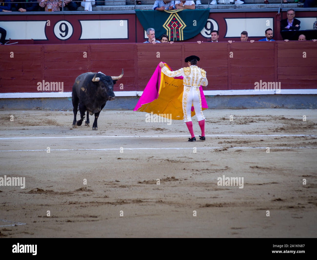 MADRID, SPAIN-SEPTEMBER 22, 2019: First stage of the corrida, the tercio de varas ('part of lances'). Matador and bull at plaza de toros (bullring) de Stock Photo