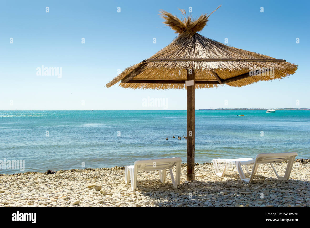 bluewater beach chairs