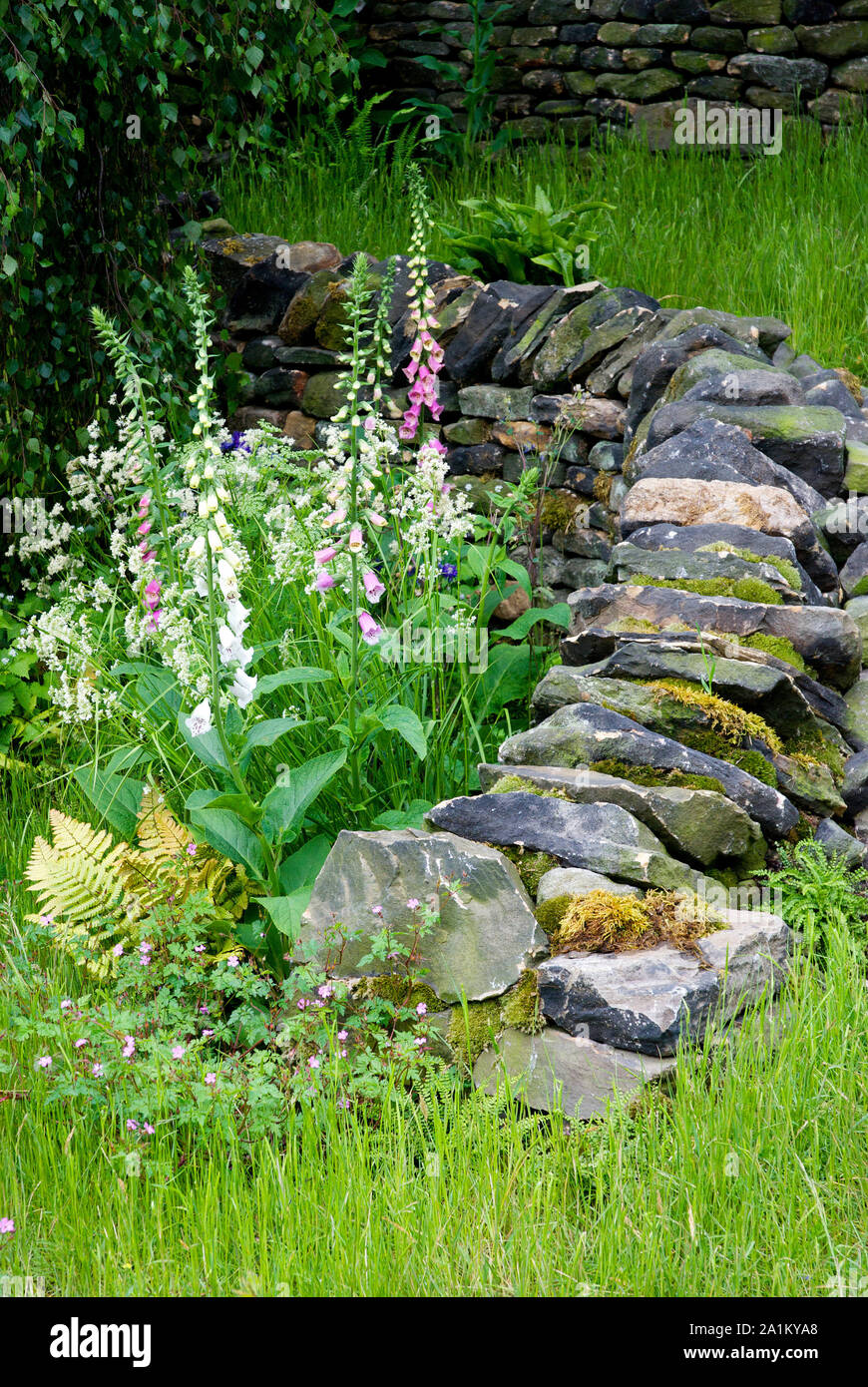 Dry stone wall garden hi-res stock photography and images - Alamy