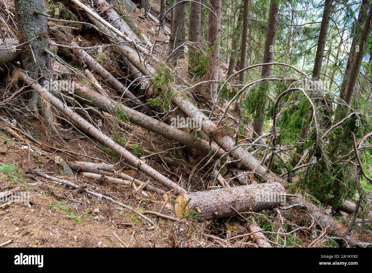 Avalanche hazard hi-res stock photography and images - Alamy
