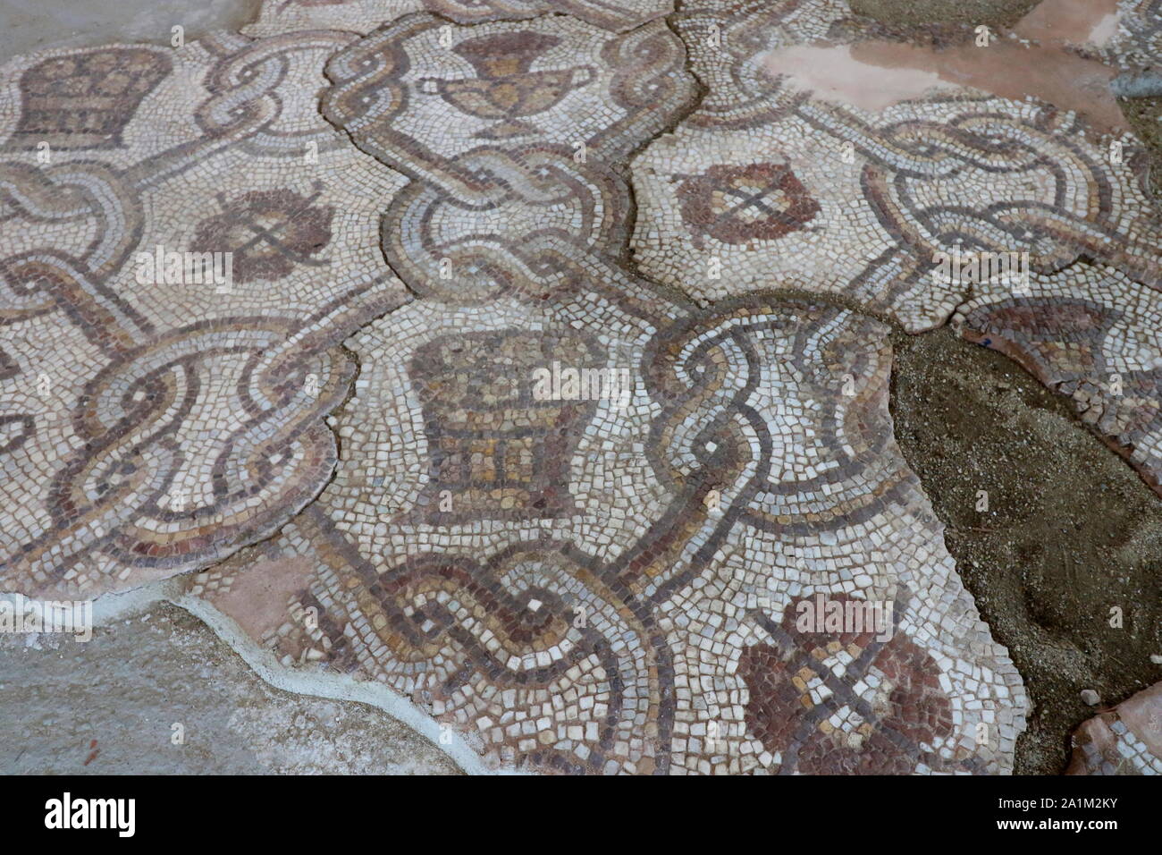 Roman mosaic floor located in archaeological site in The Bishop's Basilica of Philippopolis, the city of Plovdiv, Bulgaria. Mosaic floor. Roman mosaic Stock Photo